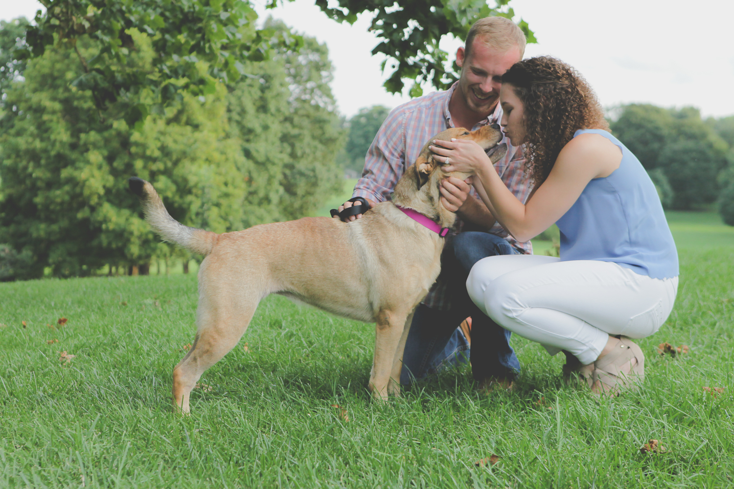 Pacote Amor de Estimação